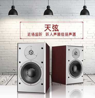 地表最强HIFI组合  爱HIFI天弦音响推荐