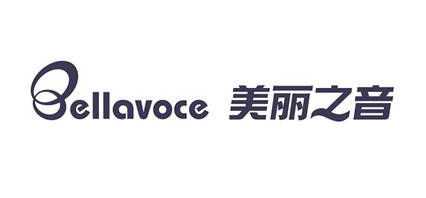 源自台湾动听神器 美丽之音音响火热招商中