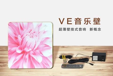 原音探究 返璞归真——VE音乐壁评测