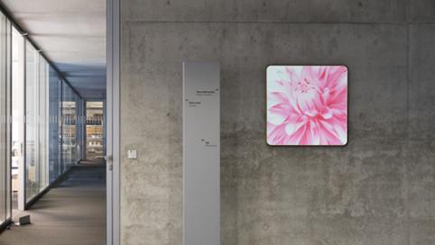 原音探究 返璞归真——VE音乐壁评测