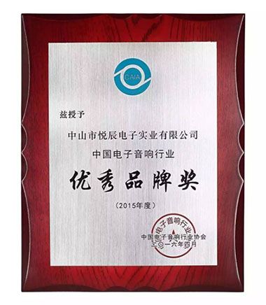 中国音响优秀品牌,RSR悦辰闪耀正当时